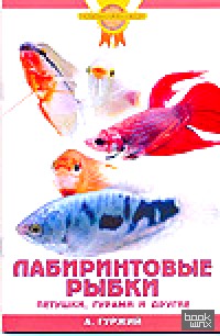Лабиринтовые рыбки: Петушки, гурами и другие