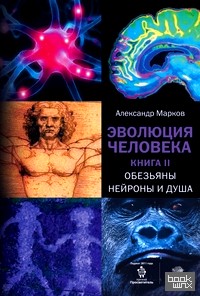 Эволюция человека: В 2 книгах. Книга 2. Обезьяны, нейроны и душа