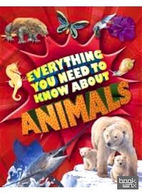 Everything You Need to Know: Animals