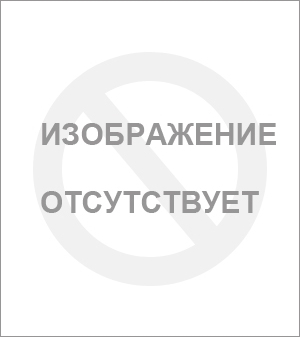 Один день без Сталина: Москва в октябре 41-го года