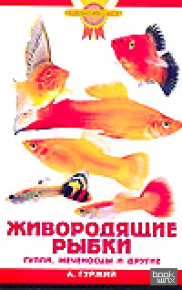 Живородящие рыбки: Гуппи, меченосцы и другие