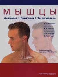 Мышцы: Анатомия. Движения. Тестирование