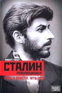 Сталин-революционер: Путь к власти. 1879-1929