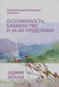 Осознанность, блаженство и за их пределами