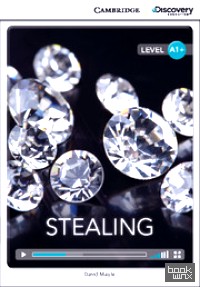 Stealing + Online Access