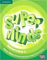 Super Minds Level 2: Teacher's Book