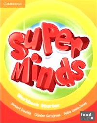 Super Minds Starter: Workbook