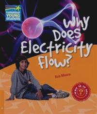 Why Does Electricity Flow?