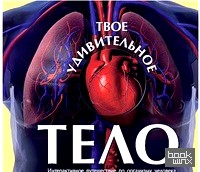 Твое удивительное тело: + плакат