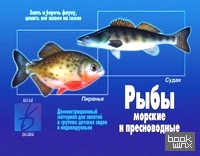 «Игра «Рыбы морские и пресноводные»