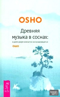 Древняя музыка в соснах: в дзен разум внезапно останавливается