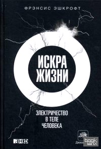 Искра жизни: Электричество в теле человека
