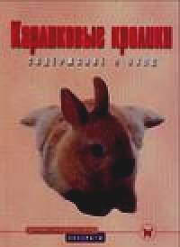 Карликовые кролики: Содержание и уход