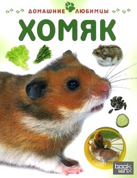 Хомяк