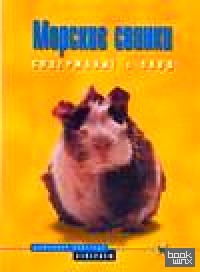 Морские свинки: Содержание и уход