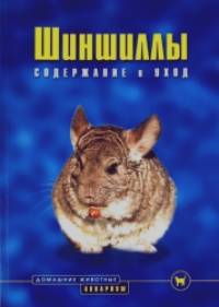 Шиншиллы: Содержание и уход