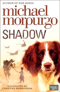 Shadow