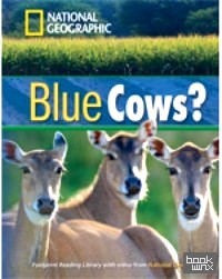 Blue Cows?