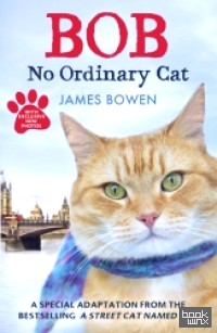 Bob: No Ordinary Cat