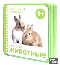 Домашние животные