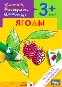 Раскраска с наклейками: Ягоды