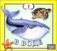 В воде: Книжка-раскладушка