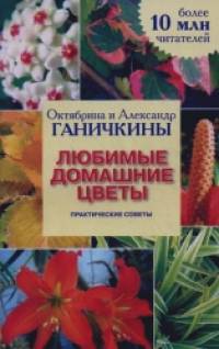 Любимые домашние цветы: Практические советы