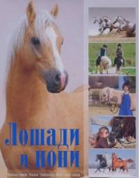Лошади и пони