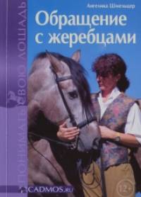 Обращение с жеребцами