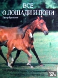 Все о лошади и пони