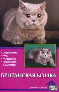 Британская кошка: Содержание. Уход. Разведение. Подготовка к выставке