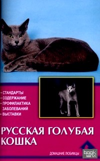 Русская голубая кошка: Стандарты. Содержание. Профилактика заболеваний. Выставки