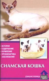 Сиамская кошка: История. Содержание. Кормление. Профилактика заболеваний