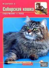 Сибирская кошка: Содержание и уход