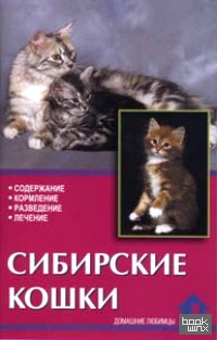 Сибирские кошки