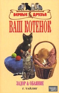 Ваш котенок: Задор и обаяние