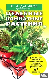 Целебные комнатные растения