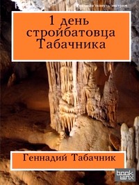 1 день стройбатовца Табачника