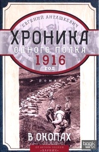 В окопах: 1916 год. Хроника одного полка