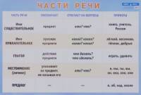Части речи: Наглядное пособие для начальной школы (большой формат)