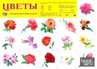 Демонстрационный плакат: Цветы