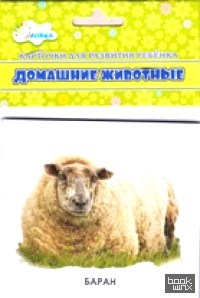 Домашние животные: Учебные карточки