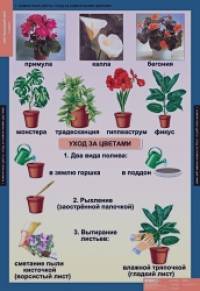 Комплект таблиц: Окружающий мир. 1 класс (15 таблиц)