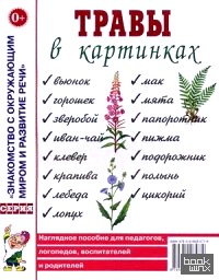 Травы в картинках: Наглядное пособие для педагогов, логопедов, воспитателей и родителей