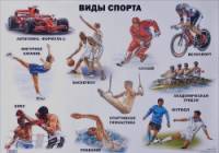 Виды спорта: Плакат