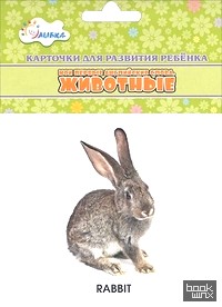 Животные: Учебные карточки