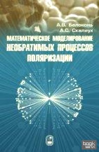 Математическое моделирование необратимых процессов поляризации