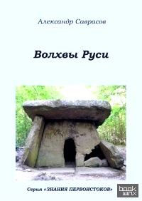 Волхвы Руси: Книга 7