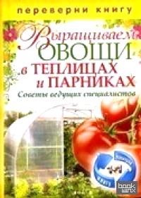 1+1, или Переверни книгу: Выращиваем овощи в теплицах и парниках. Советы ведущих специалистов. Выращиваем виноград на приусадебном участке. Советы и рекомендации специалистов