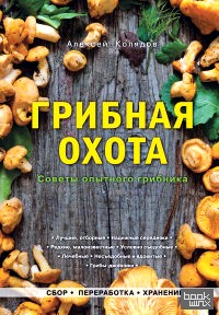 Грибная охота: Советы опытного грибника